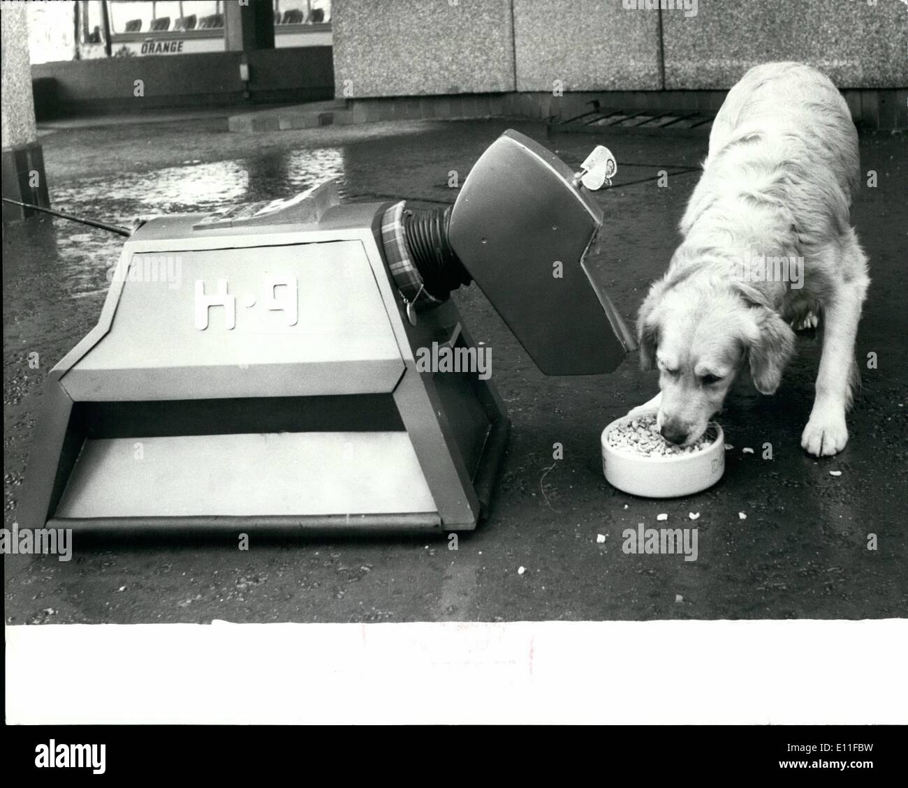 10 octobre 1977 - Crunch : Plat Chiens Robert et K9 Célébrez avec style. Spillers Winalot a célébré son cinquantième anniversaire, hier ( vendredi ) pour le son de bouchons de champagne sauter et deux chiens de la Grande-Bretagne de grignotage super plus gros biscuit canin. La pétillante à Spillers' direction a annoncé un plan de promotion spéciale pour le Jubilé d'Winalot lors d'une conférence de presse sur une période péniche amarrée à Londres, Katherine's Dock. Les plans de consommation comprend une compétition avec quatre voitures Ford Fiesta d'or parmi les prix, et le lancement de la publicité TV la semaine prochaine Banque D'Images