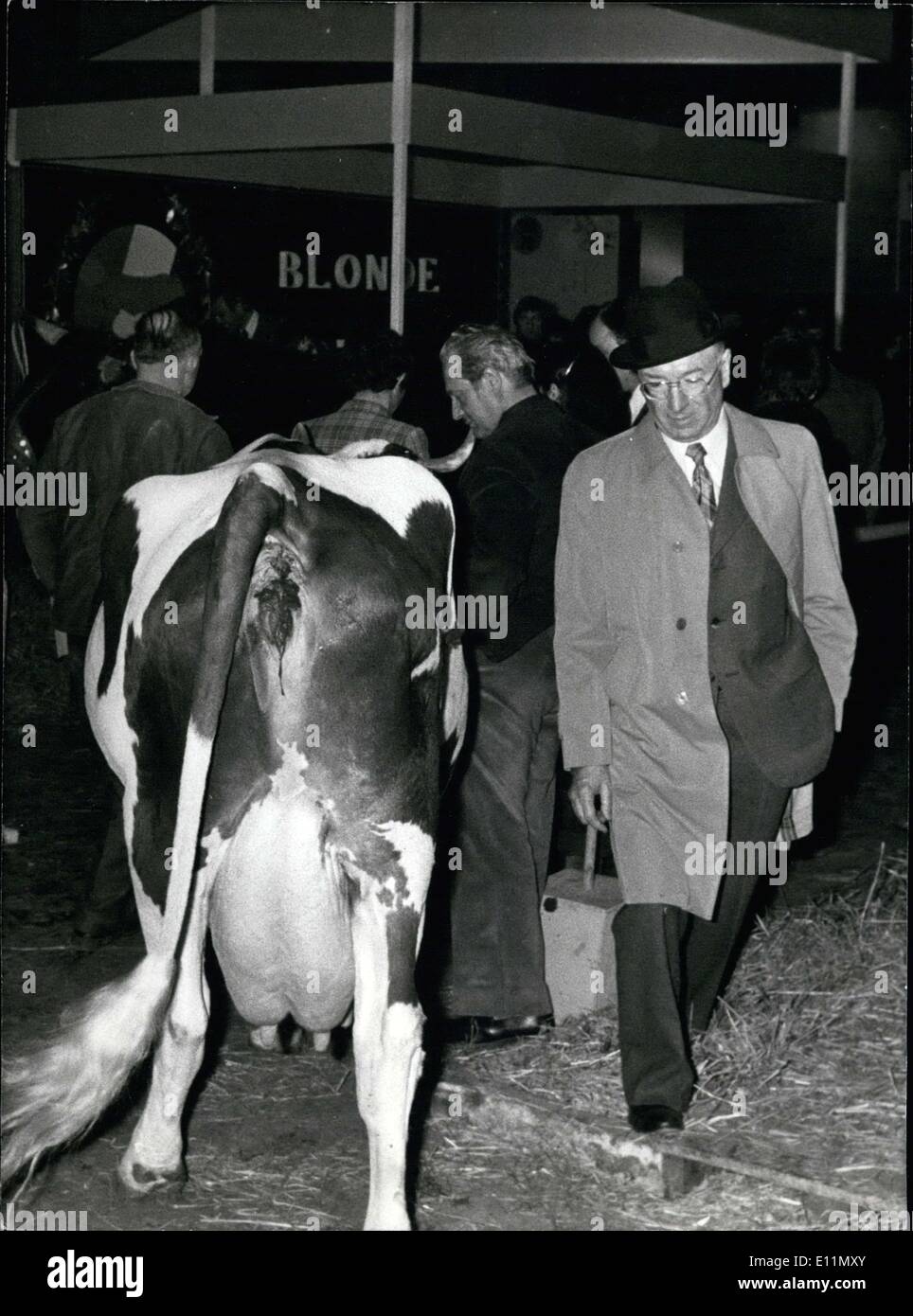 Mars 05, 1979 - Vous n'avez qu'à aller dans le Parc des Expositions de la Porte de Versailles pour vous retrouver immédiatement dans la plus grande ferme dans le monde. Là, les plus beaux spécimens de veaux, vaches, cochons, etc. . . ., Sont réunies pour la 16e exposition agricole internationale de Paris's machine agricole. Photo : à l'exposition agricole, ce Parisien bien habillé traverse une bonne vache qui a été très heureux de voir que les trains qui passent. Banque D'Images