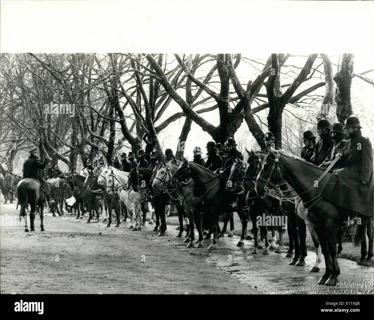 Avril 04, 1979 - La Police en force pour Front National rassemblement à Newham Mairie : environ 4000 policiers montés, certains étaient en force à Newham ce soir pour la réunion par le Front National en l'hôtel de ville. Photo montre Canada inspectée dans un parc près de Newham de ville où la frontière sont la tenue d'une élection ce soir. Banque D'Images