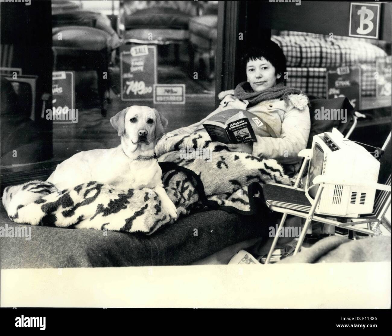 Le 12 décembre 1979 - Bonnes Affaires pour manteau de vison : Mlle Yvonne Miller prévues le lendemain avec son Labrador doré à l'extérieur de Barkers store dans Keningston en attente de leur vente à commencer aujourd'hui. Elle est première dans la file d'attente pour un livre &995;veste vison marqué à 99. Banque D'Images