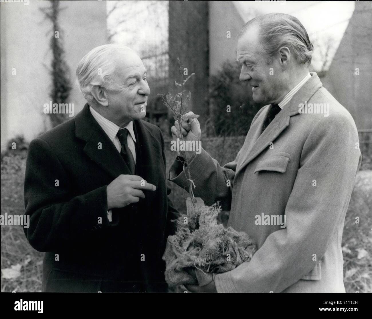 02 février 1980 - Le Duc de Wellington à chêne Plantes Zoo de Londres : le 8ème duc de Wellington a présenté aujourd'hui une Turquie chêne pour la Société zoologique de Londres, qu'il a planté à la London Zoo. L'arbre est originaire d'un gland versé par le chêne qui pousse sur le gave de Copenhague, le chargeur monté par le Maréchal, le duc de Wellington, à la bataille de Waterloo. Le cheval, un étalon alezan a effectué le duc tout au long de la campagne péninsulaire et il est mort en 1836 Banque D'Images