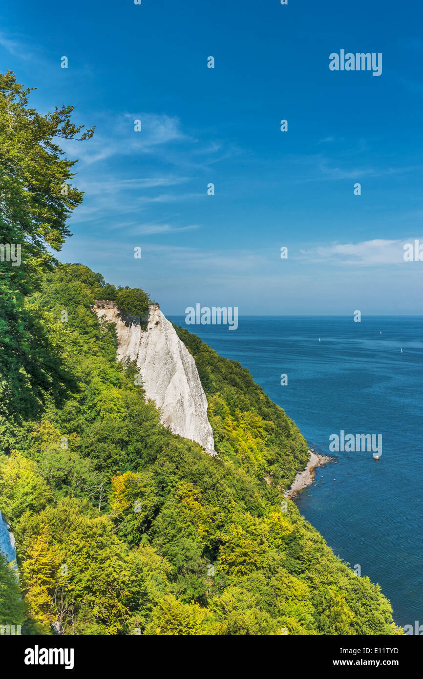 118 mètres de haut des falaises de craie Koenigsstuhl (Président), du Roi de l'île Rügen, Mecklembourg-Poméranie-Occidentale, Allemagne, Europe Banque D'Images