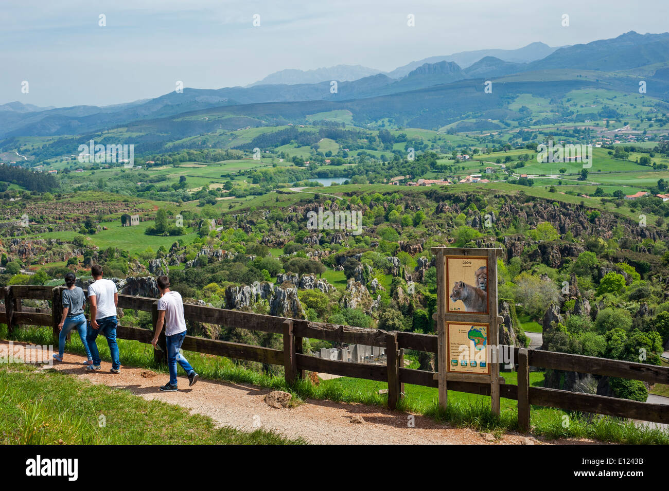 Les touristes à la recherche sur l'enclos du Parc Naturel de Cabarceno, Penagos, Cantabria, ESPAGNE Banque D'Images