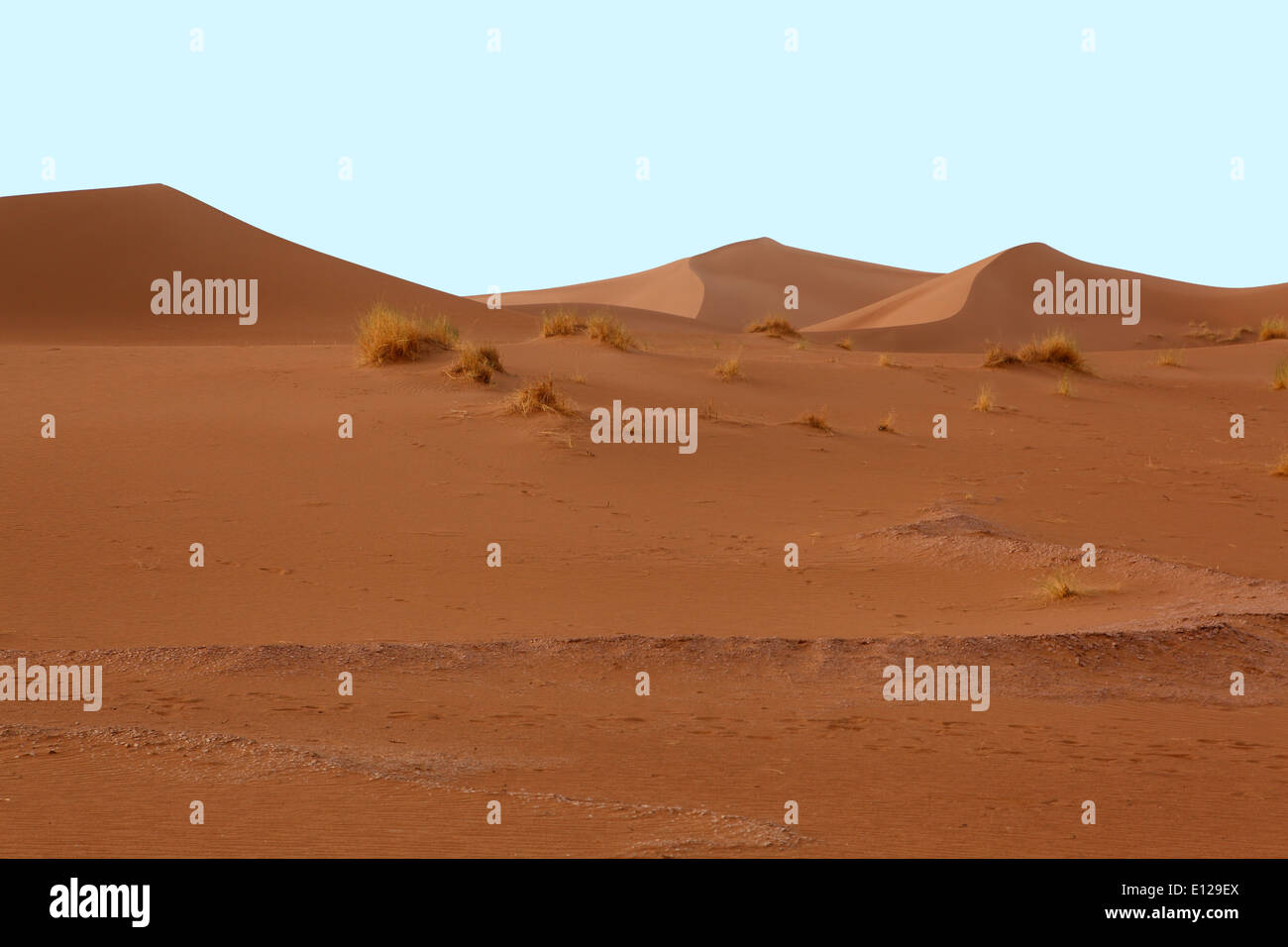 Dunes dans le désert au Maroc Banque D'Images