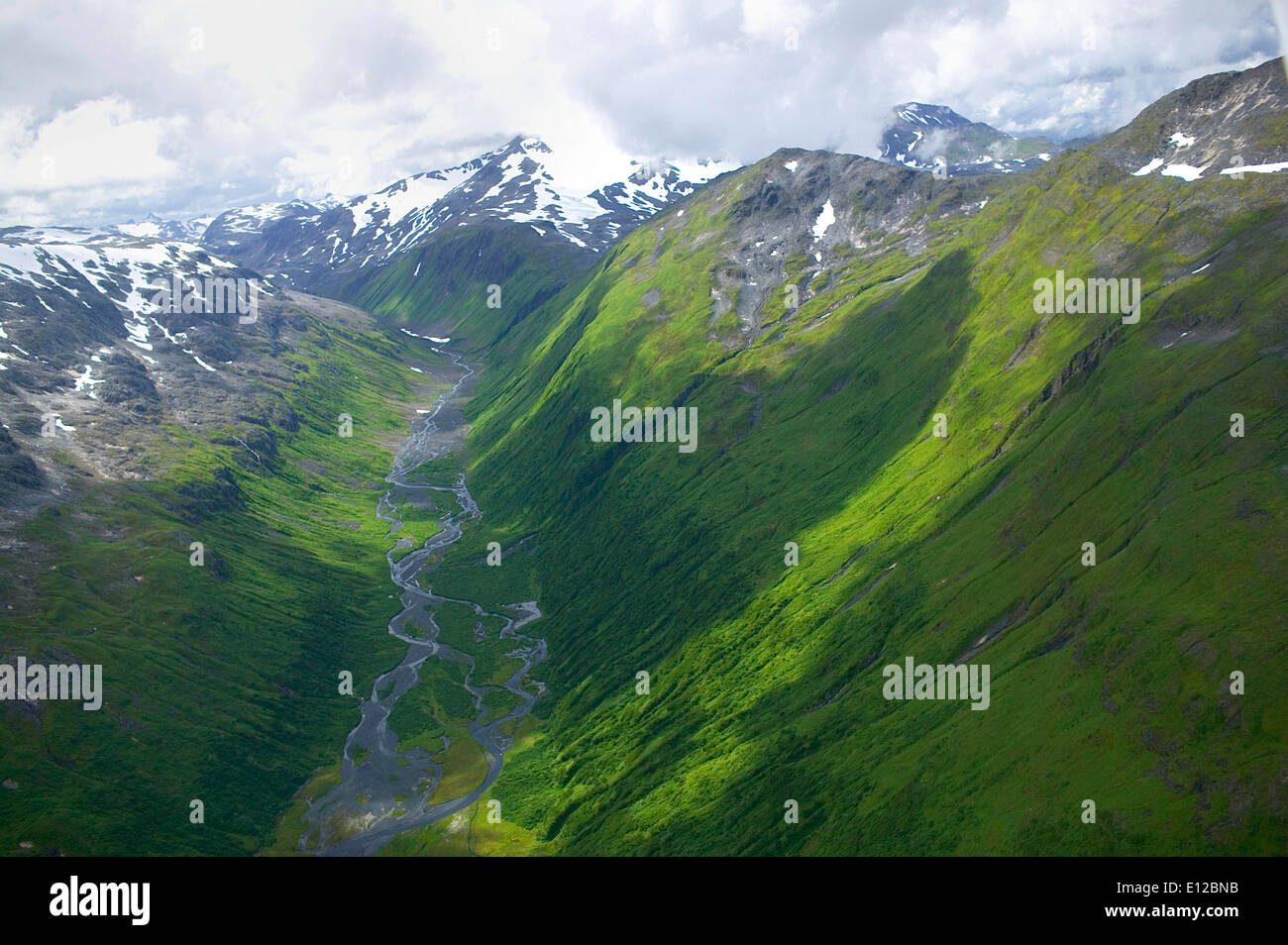 Cette image capture une scène de la faune en Alaska, mettant l'accent sur les diverses espèces qui prospèrent dans les environnements naturels de l'État. Les efforts de conservation de la faune en Alaska se concentrent sur la protection de ces espèces et de leurs habitats. Banque D'Images