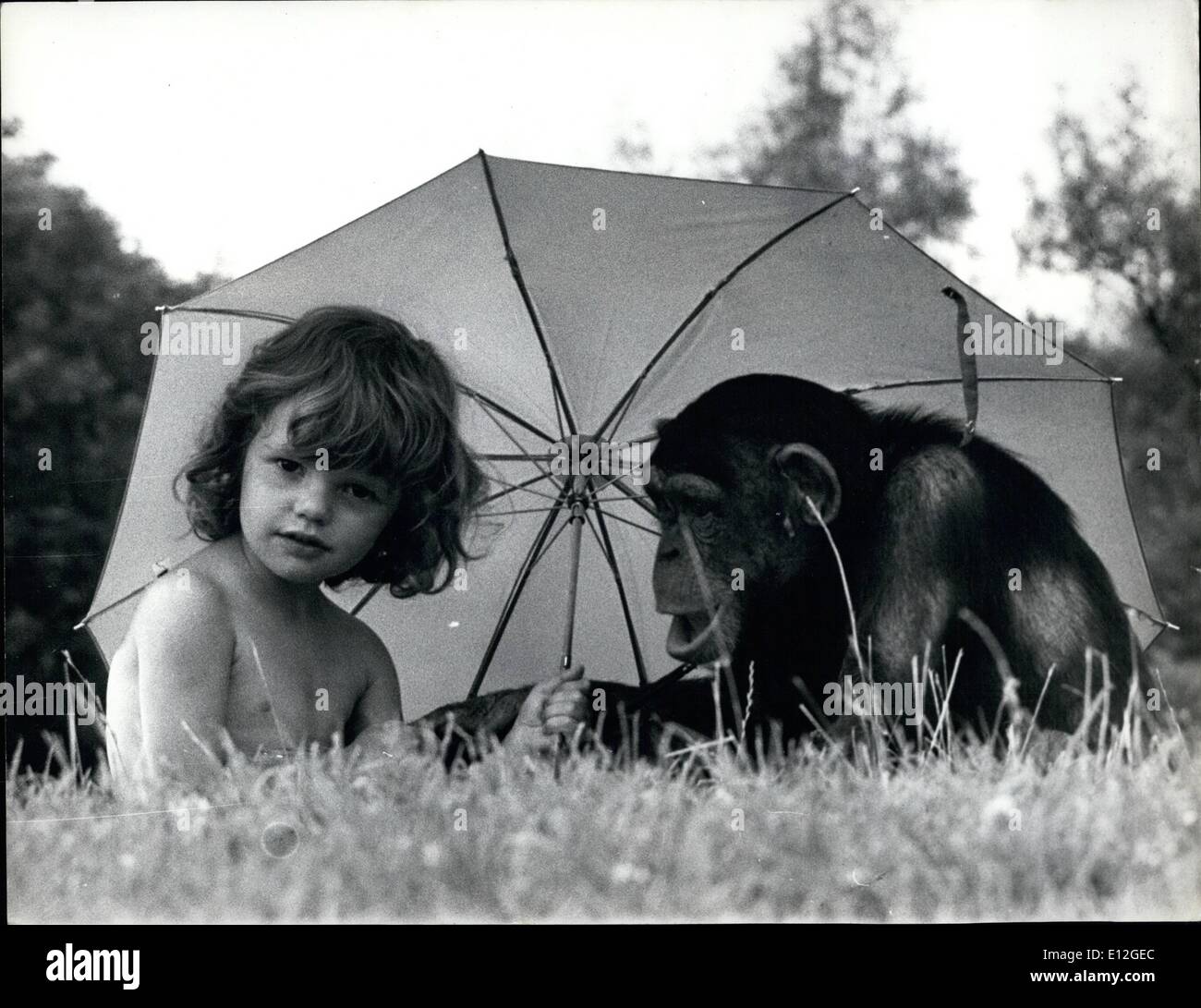 10 janvier 2012 - Tracey et son ami chimpanzé Rosie. Une charmante tete-s-tête dans la fraîcheur d'un parasol. Banque D'Images
