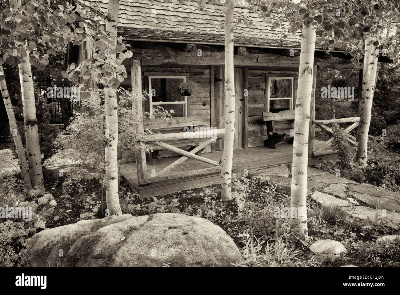 Cabine et de trembles. Betty Ford Alpine Gardens. Vail, Colorado Banque D'Images