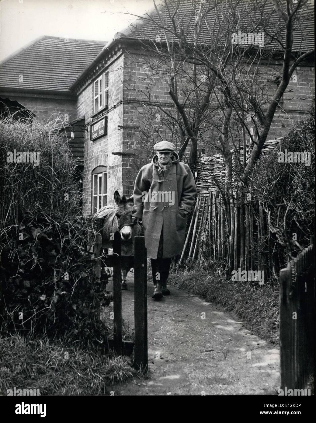 24 février 2012 - Le shopping stockés en toute sécurité dans le bât sur le dos de Rosie, M. Sargeaunt commence pour hoke. Il premier utilisateur Rosie pour porter le shopping l'hiver dernier lorsque la neige était trop épais pour utiliser la voiture, et c'est été Rosie emploi régulier depuis. Rosie l'âne va faire les courses - en préparation d'allée cavalière pèlerinage. : en juin prochain, M. A.Sargeaunt, 72 ans - - - ancien soldat et sa femme de Lodge Farm, Wenston Turville, Bucks, sont à une dizaine de jours de vacances pour retrouver les anciennes pistes cavalières de l'Angleterre - accompagnés par leur propre âne, Rose Banque D'Images