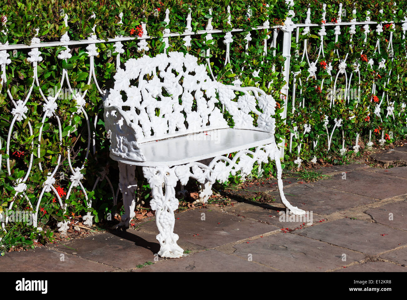 Banc en fer forgé blanc dans le parc Banque D'Images