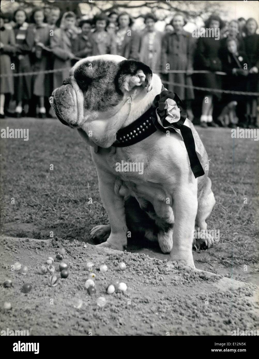24 février 2012 - La ''Tolley Men'' de Tinsley Green une fois de plus, les champions sont en pratique difficile pour l'exercice annuel de Banque D'Images