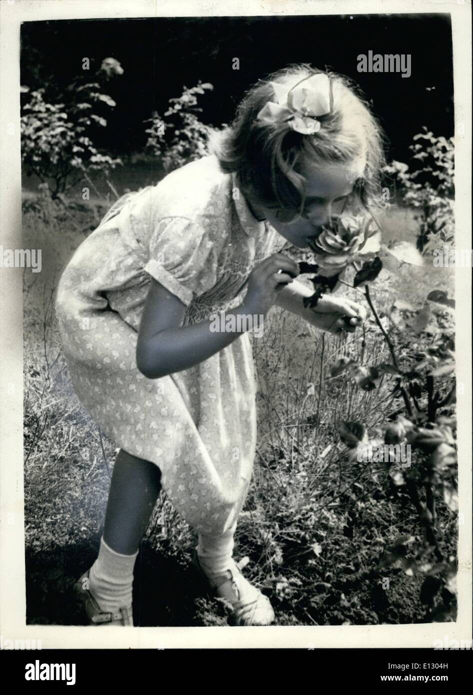 Le 26 février 2012 - Pour un enfant aveugle le doux parfum d'une rose est eve  parfumé que d'une personne voyante. Les enfants aveugles bientôt apprendre à apprécier les senteurs d'un jardin d'été. Banque D'Images