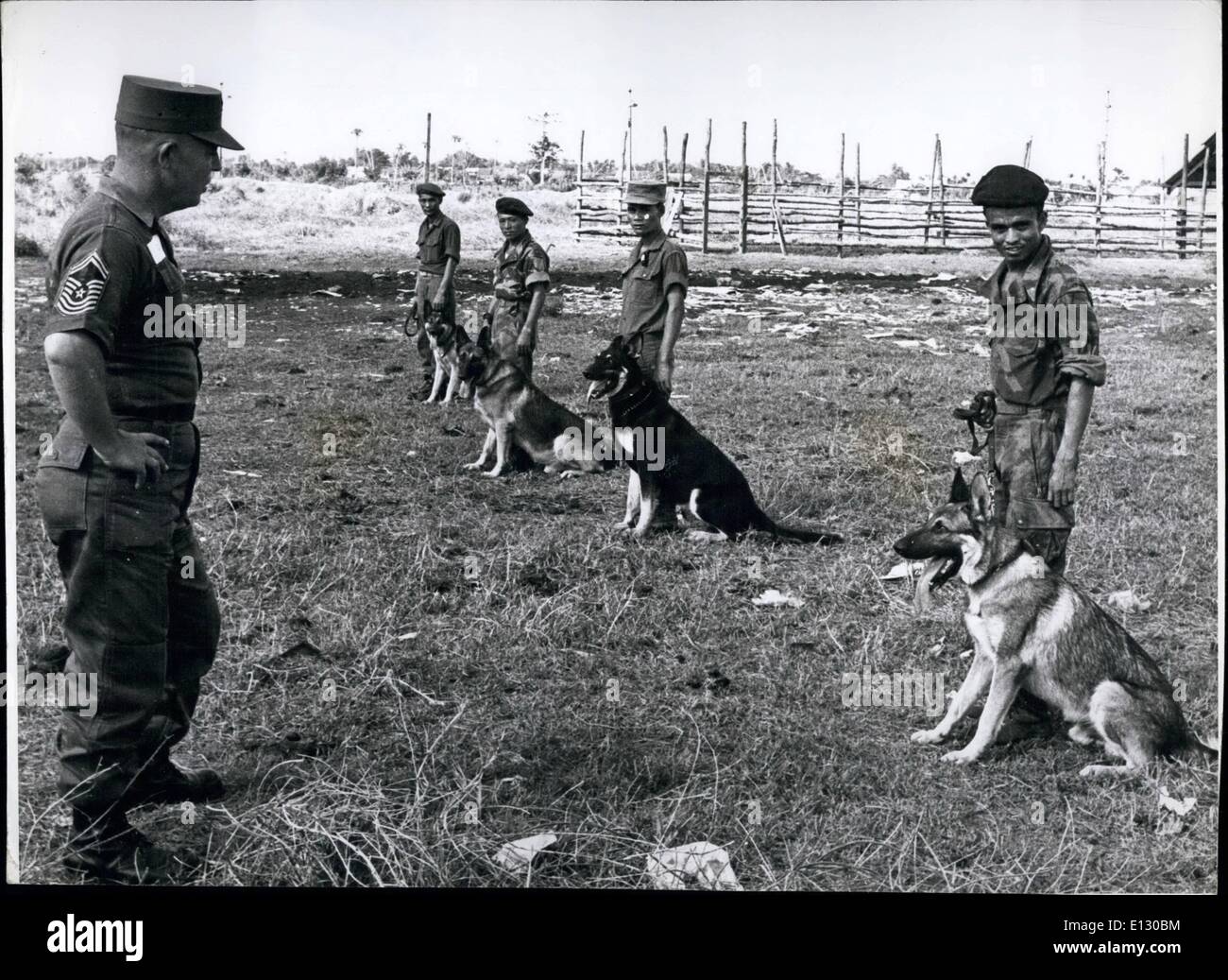Le 26 février 2012 - US Air Force M/Segt Johnie Pate, un des experts de la formation de chien inspecte les chiens sur le défilé dans le centre de formation près de Saigon. Banque D'Images