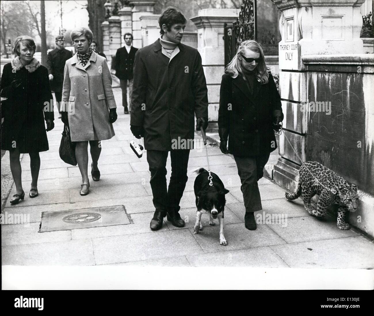 Le 26 février 2012 - Angela et son ami prendre leurs animaux de compagnie pour une promenade dans Kensington - Michael, le léopard, et Sheba, le chien, sont les meilleurs amis. Banque D'Images