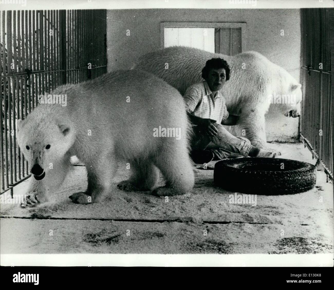 Le 26 février 2012 - Liliah Daniels célèbre actrice de cirque voulait s'installer avec son partenaire Britt Mari Mahran au Danemark, mais l'autorisation des autorités dépendantes de leur mettre leur 3 l'ours polaire dans le zoo qu'ils ont refusé Banque D'Images