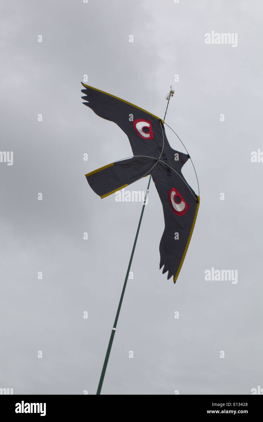 Cerf-volant d'effarouchement des oiseaux, avec beaucoup d'accent sur les yeux, utilisé pour agir comme un dispositif de récolte d'effarouchement sur les pois. Ingham. Le Norfolk. Banque D'Images