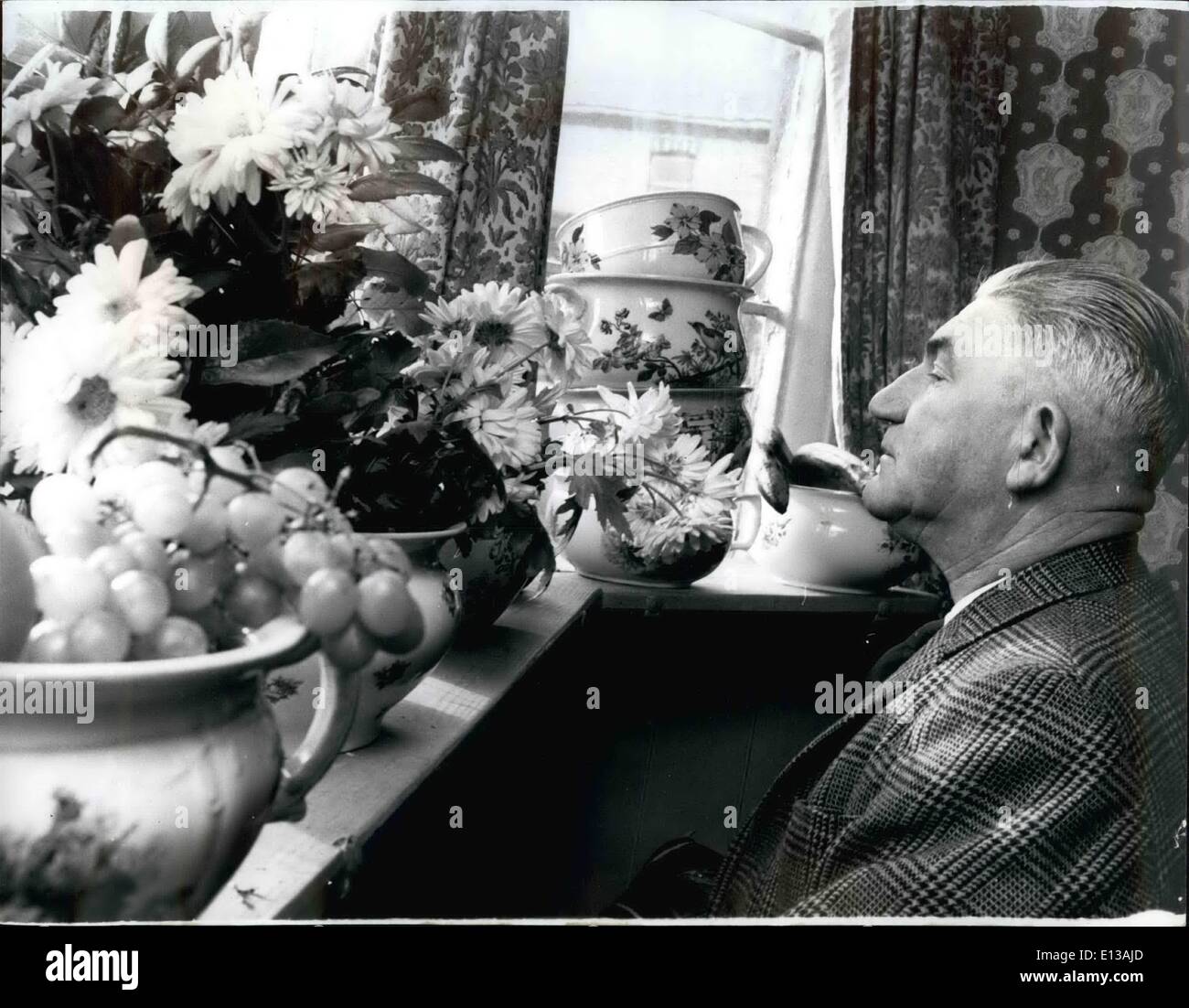 29 février 2012 - L'OBJET S D'UN POT sont nombreux : LE BUT D'UN POT - NON SEULEMENT SOUS LE LIT MAIS POUR L'ÉPANOUISSEMENT DES FLEURS SUR LE REBORD DE LA VITRE Banque D'Images