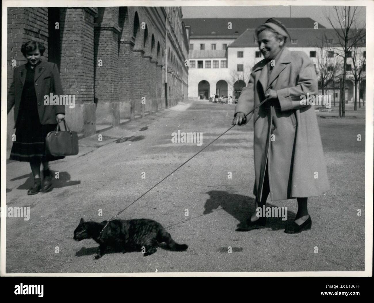 Mars 02, 2012 - Les amateurs de chats ne sont pas seulement à Paris. À Munich notre reporter a rencontré Mme Kluxen dans les motifs de l'Hofgarten Banque D'Images
