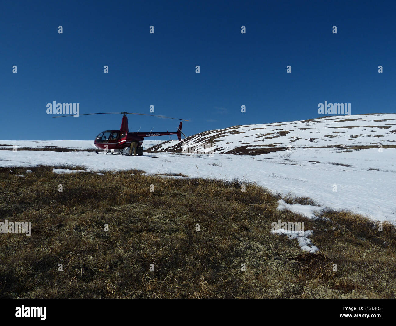 Un relevé de rapaces effectué à partir d’un hélicoptère dans le refuge national faunique des montagnes Kilbuck du delta du Yukon, axé sur la surveillance et la protection des espèces de rapaces dans la région. Banque D'Images
