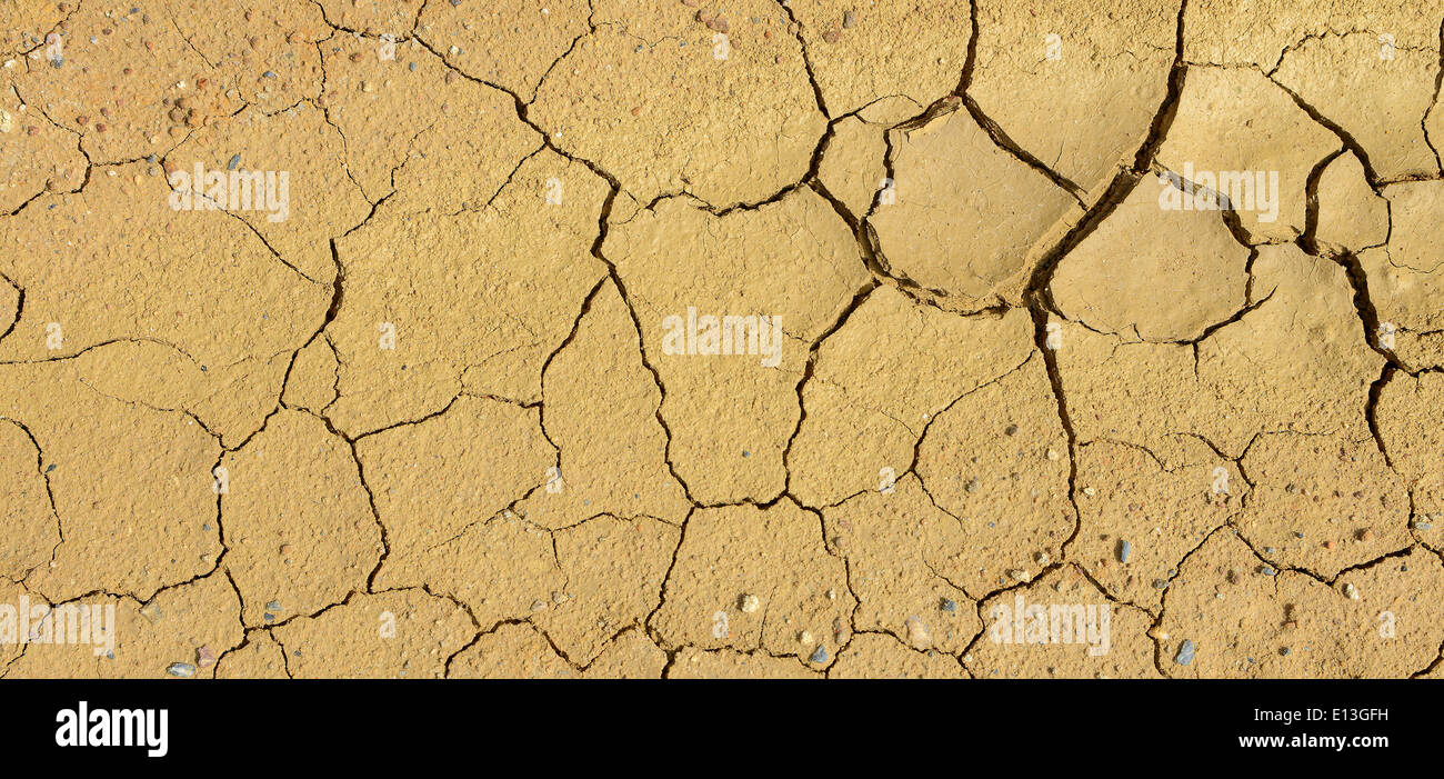 Close-up de sol sec dans l'aridité du climat. Sol fissuré dans un désert. Banque D'Images