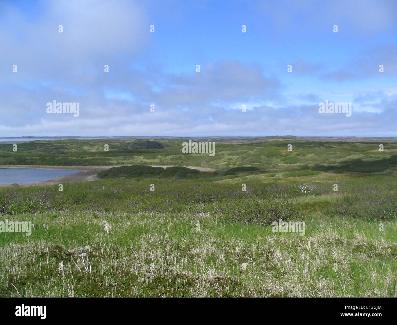 Le refuge faunique national d’Izembek abrite des paysages de toundra près du mont Baldy, offrant un habitat essentiel aux oiseaux migrateurs et à d’autres espèces sauvages, tout en protégeant divers écosystèmes. Banque D'Images
