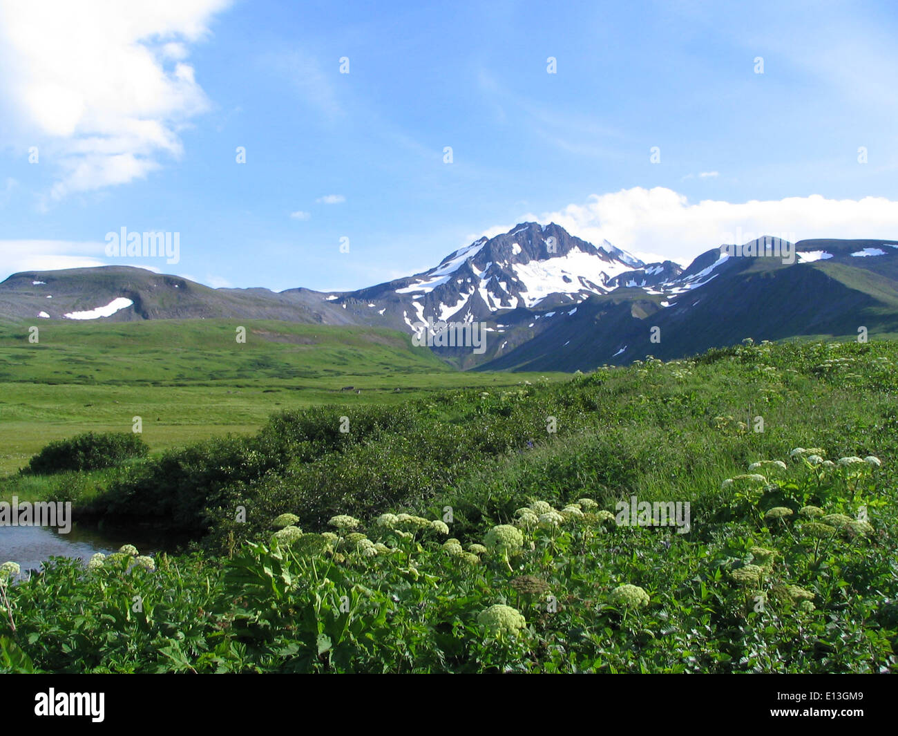 Frosty Peak, situé dans la réserve naturelle nationale d'Izembek, offre une vue imprenable sur les montagnes et est un habitat important pour diverses espèces. Cette zone est vitale pour les oiseaux migrateurs et d'autres espèces sauvages. Banque D'Images