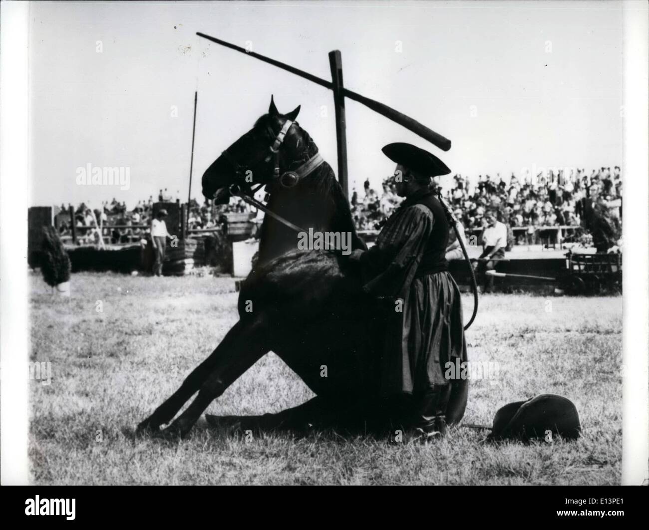 Mar. 22, 2012 - International Horse Show de en Hongrie. d'Hortobagy Banque D'Images