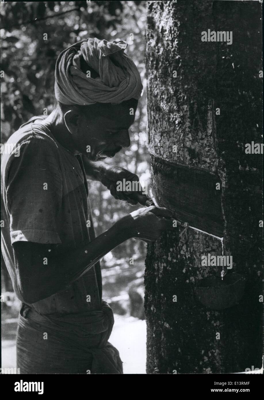 27 mars 2012 - Inde - caoutchouc tapper sur un domaine britannique dans l'Etat du Kerala communiste de l'Inde du Sud. La plupart des saigneurs sont communistes, mais jusqu'à présent, la production de caoutchouc n'a pas souffert. Banque D'Images