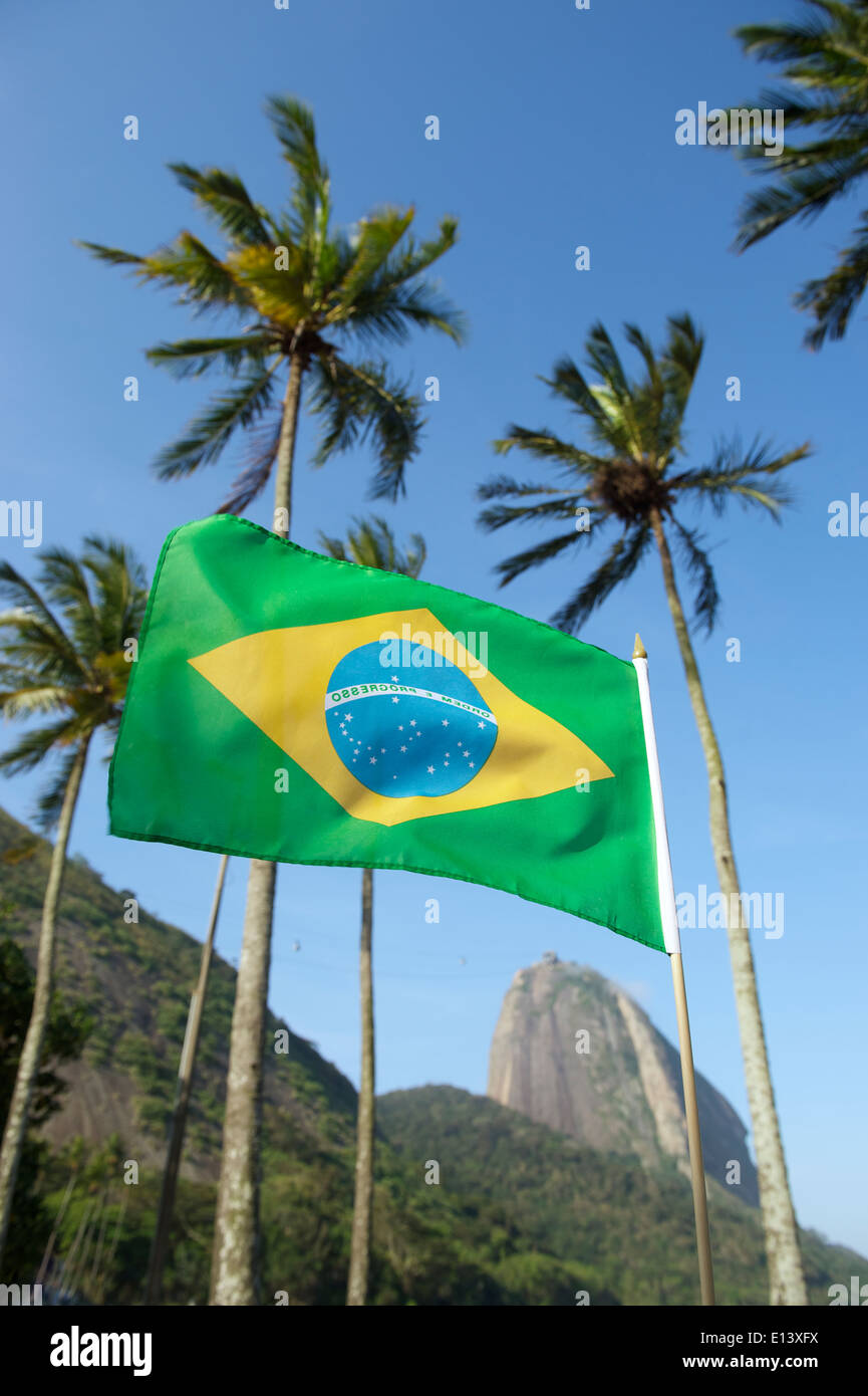 Drapeau brésilien à Sugarloaf Mountain de Pao de Acucar avec palmiers Urca Rio de Janeiro Brésil Banque D'Images Drapeau brésilien à Sugarloaf Mountain de Pao de Acucar avec palmiers Urca Rio de Janeiro Brésil Banque D'Images