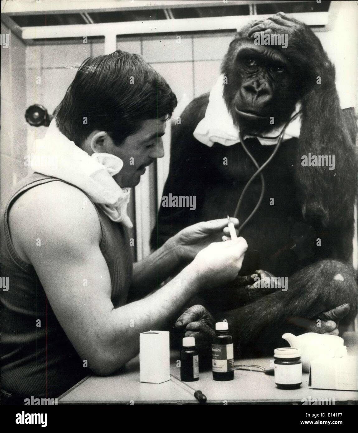 31 mars 2012 - qui est l'examen de qui ?. Au zoo de Francfort en Allemagne, Horst Klose doit avoir demandé qui était l'examen de l'oms. Comme il a donné Betsy, le gorille, un médecin. Peut-être que Betsy, qui souffre de la grippe, espérait que Horst serait prendre le médicament et comprimés. Comme elle préfère le goût de banane. Cependant, il n'y avait pas d'issue pour elle, que tous les efforts sont faits pour se faire mieux dès que possible. H/Keystone Banque D'Images