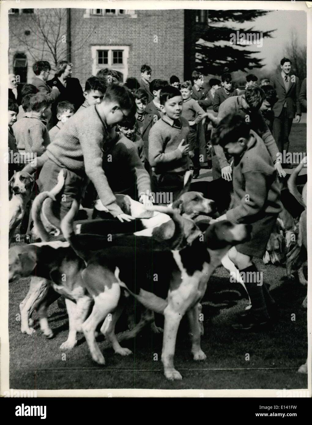 31 mars 2012 - PROFESSEUR JIMMY EDWARDS AT HUNT&gt ; l'ancien Surrey & Burstoe Hunt s'est réuni à Ardingly College,Sussex,aujourd'hui.Le professeur Jimmy Edwards a assisté. PHOTO : KEYSTONE montre certains des garçons se faire des amis avec les chiens dans le quadrilatère de Ardingly College aujourd'hui. Banque D'Images