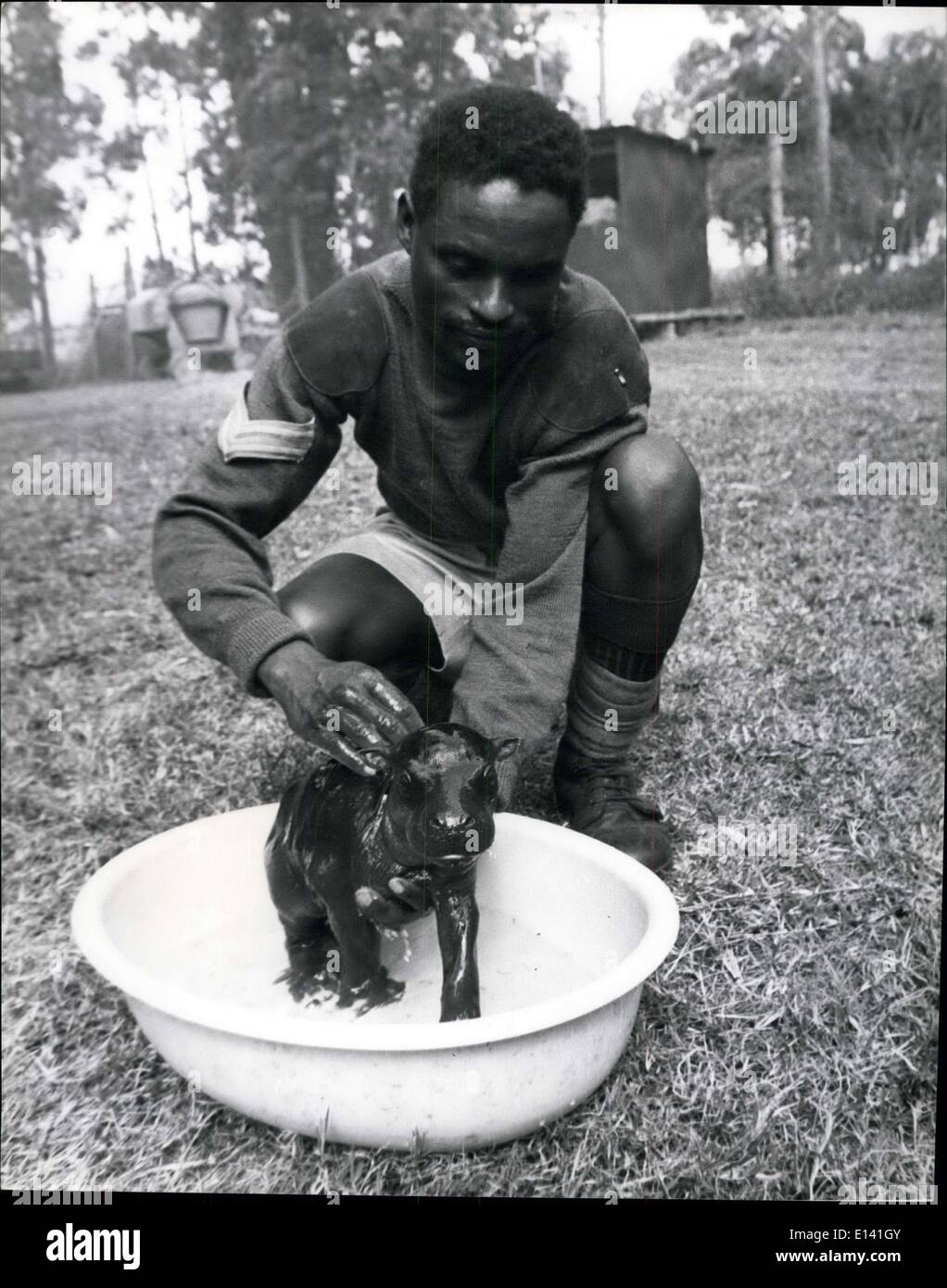 31 mars 2012 - Un orphelinat ranger tous les jours matin donne une baignoire à la petite pigmy. Banque D'Images