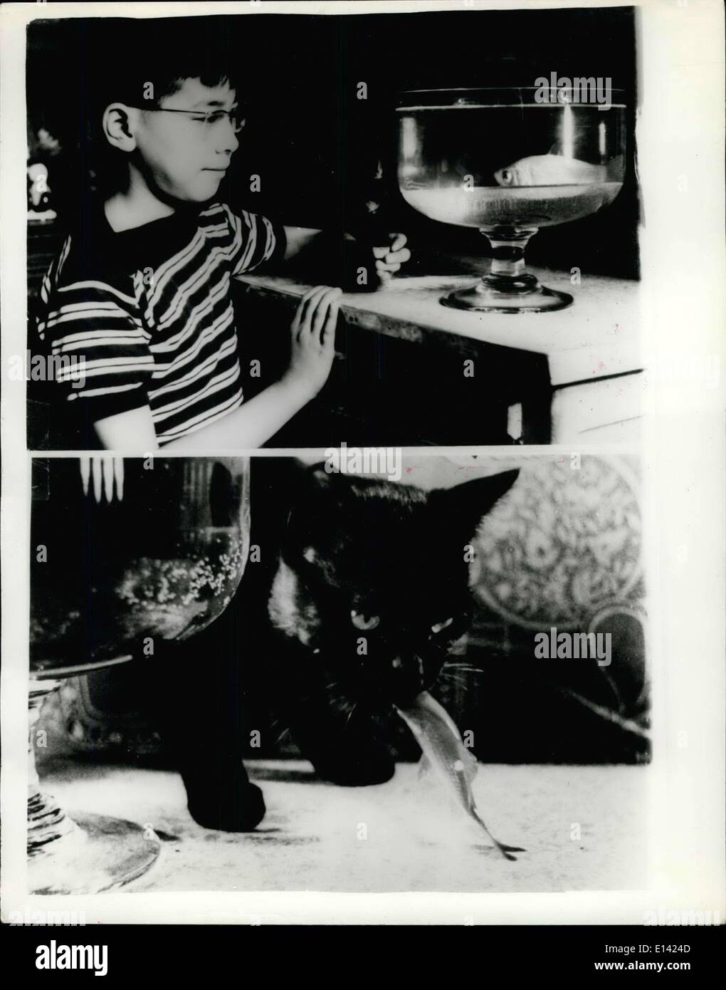 The Black Cat Film Banque D Image Et Photos Alamy