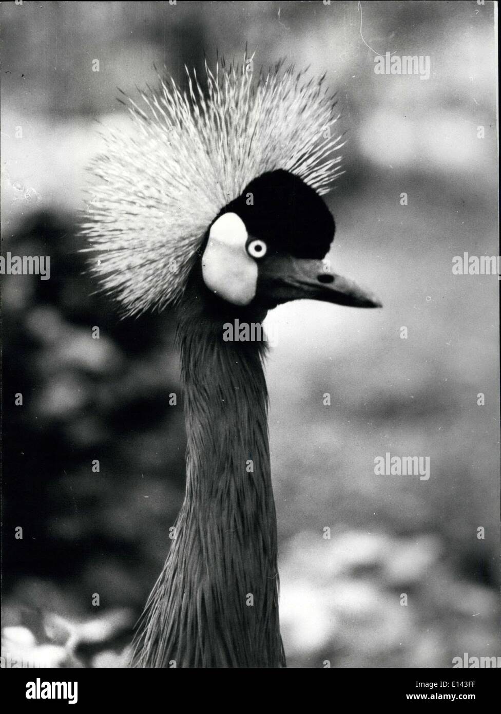 Plume comme des cheveux qui poussent