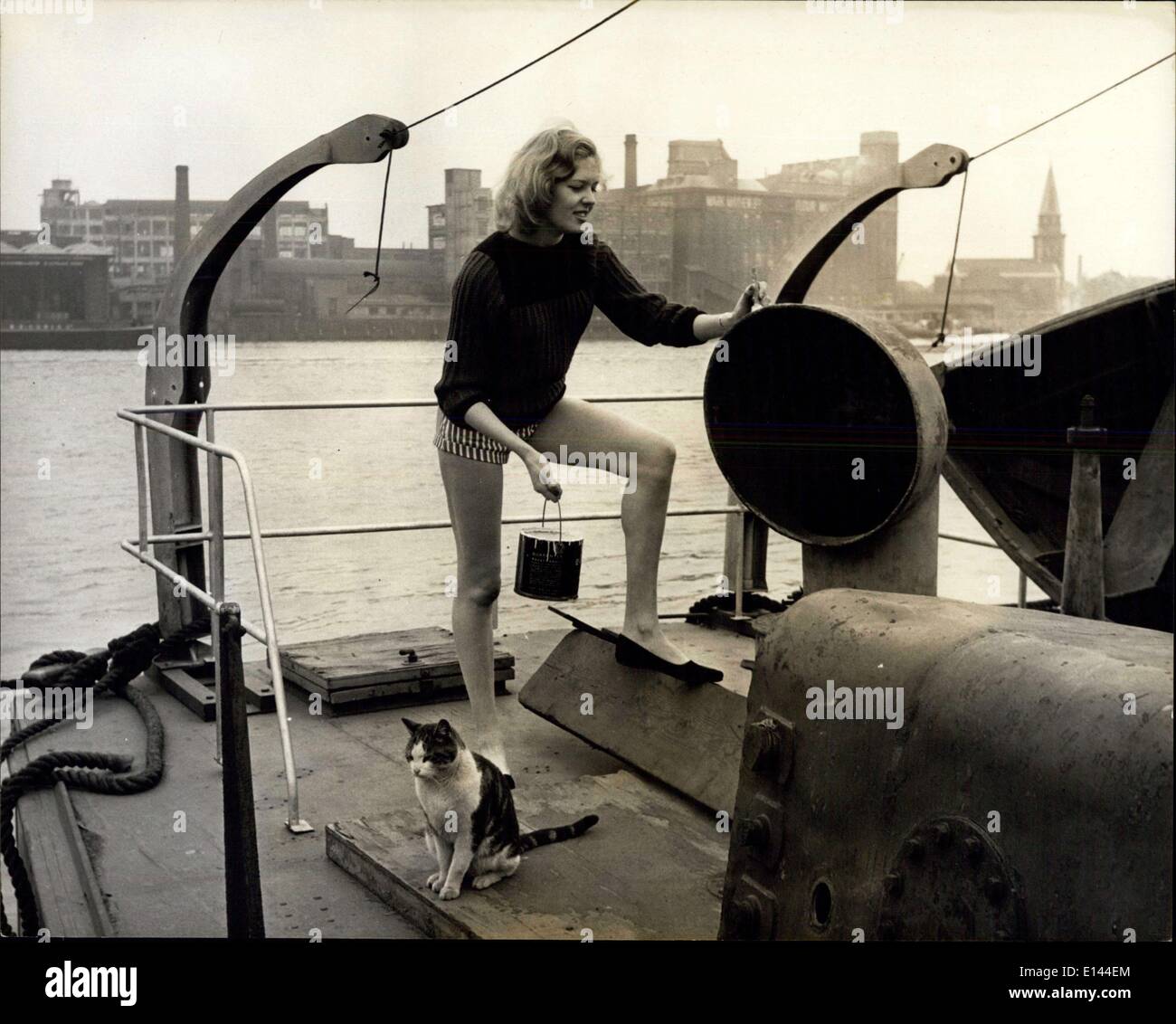 https://c8.alamy.com/compfr/e144em/avril-04-2012-printemps-signifie-qu-il-est-temps-pour-la-revision-annuelle-et-yvonne-agard-est-occupe-avec-le-pinceau-bippo-le-chat-du-navire-prend-un-mauvais-oeil-de-l-ensemble-de-la-procedure-e144em.jpg
