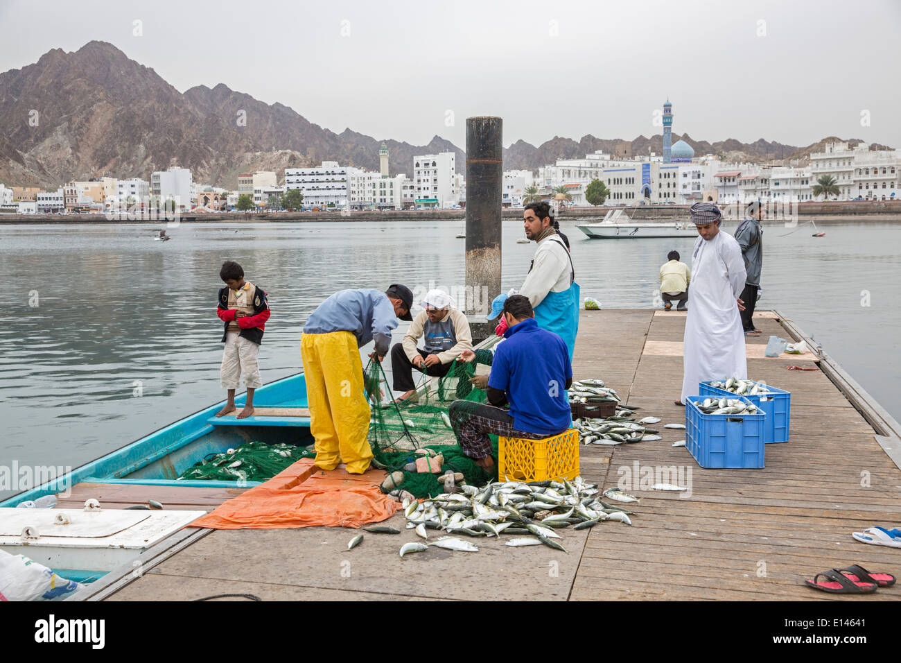 Oman, Muscat, le marché aux poissons Banque D'Images