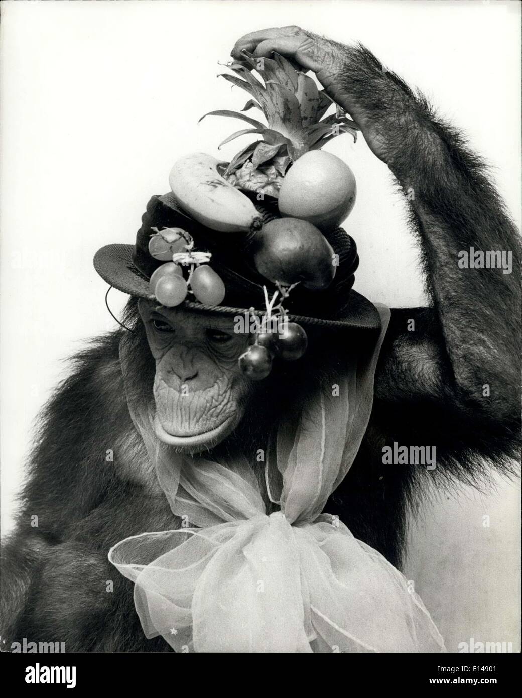 Southam Zoo Banque D Image Et Photos Alamy