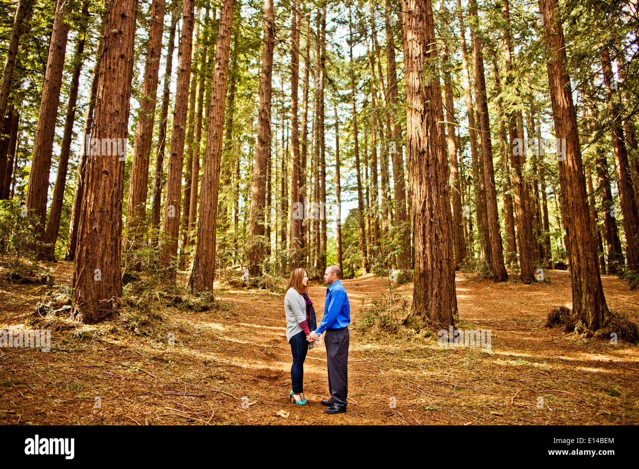 Hispanic couple holding hands in forest Banque D'Images