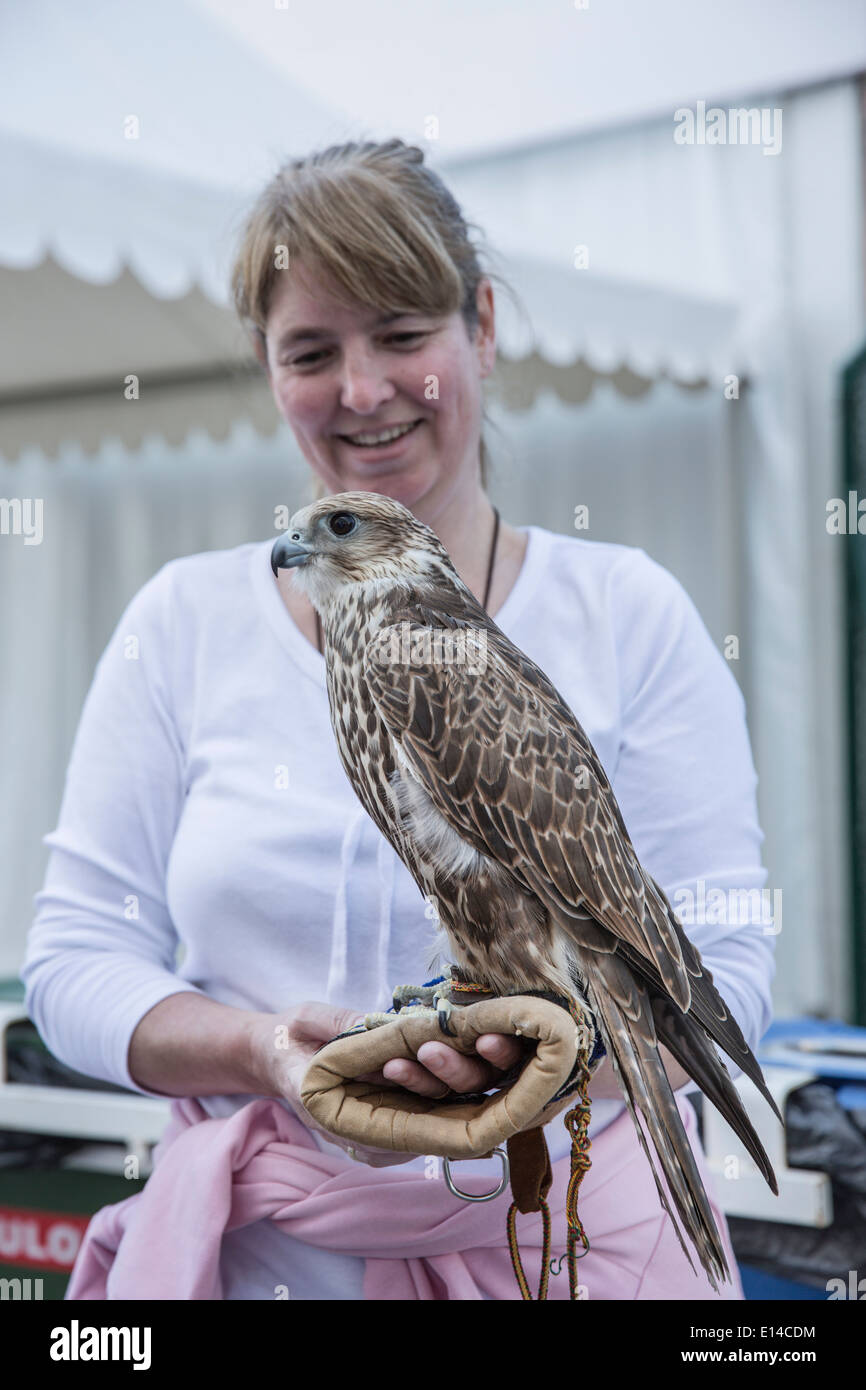 Emirats arabes unis, Abu Dhabi, touristiques, femme, avec Falcon Banque D'Images