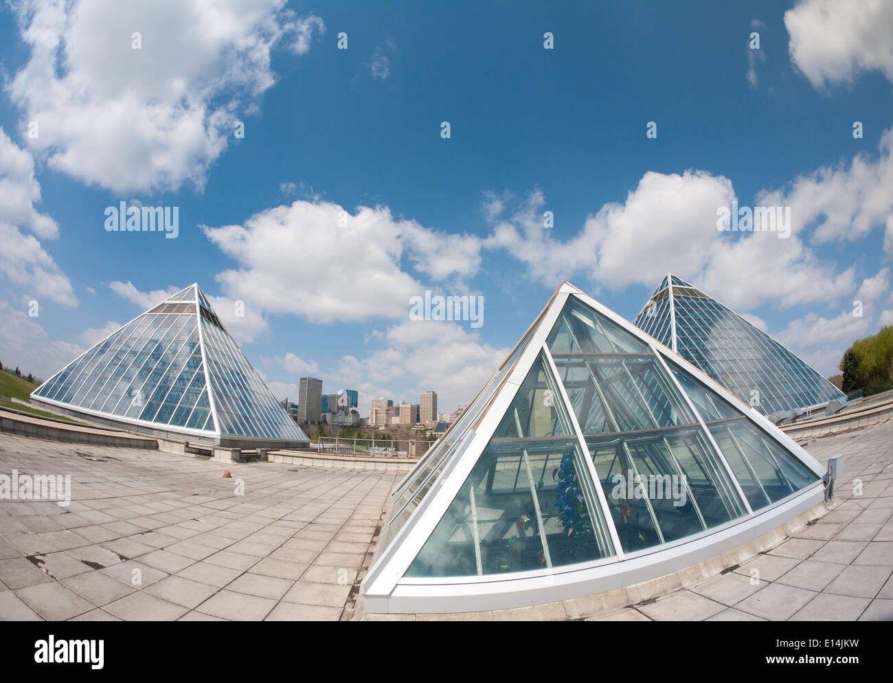 Un fisheye vue sur les pyramides de verre de la Muttart Conservatory. L'horizon est d'Edmonton dans la distance. Edmonton, Canada. Banque D'Images