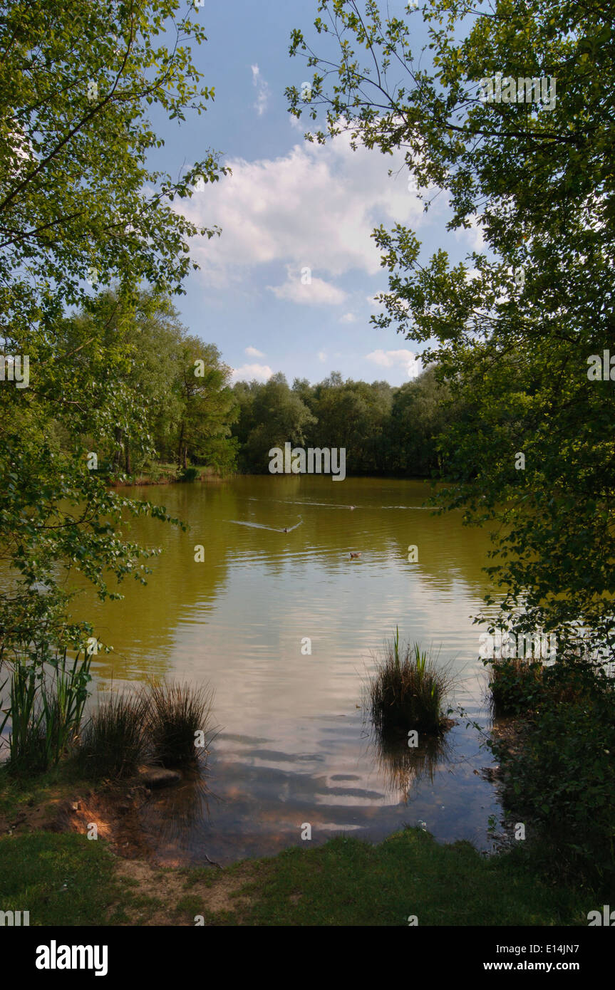 Campagne Lac. Banque D'Images
