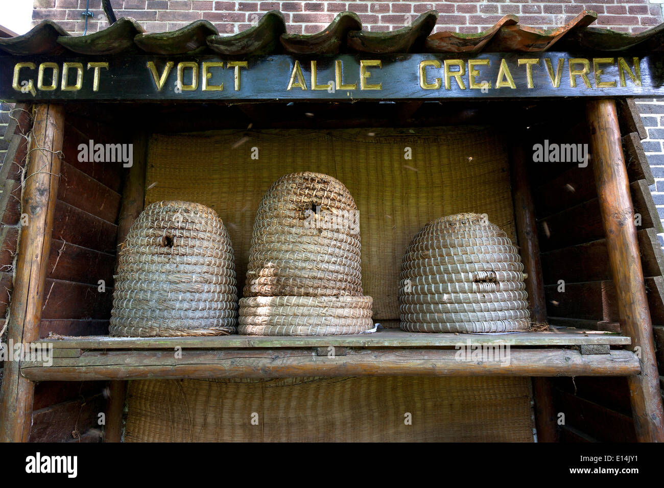 Replca de vieilles ruches dans Hortus Botanicus Leiden, Banque D'Images