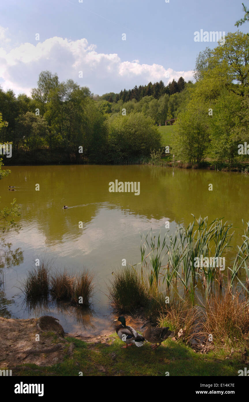 Campagne Lac. Banque D'Images