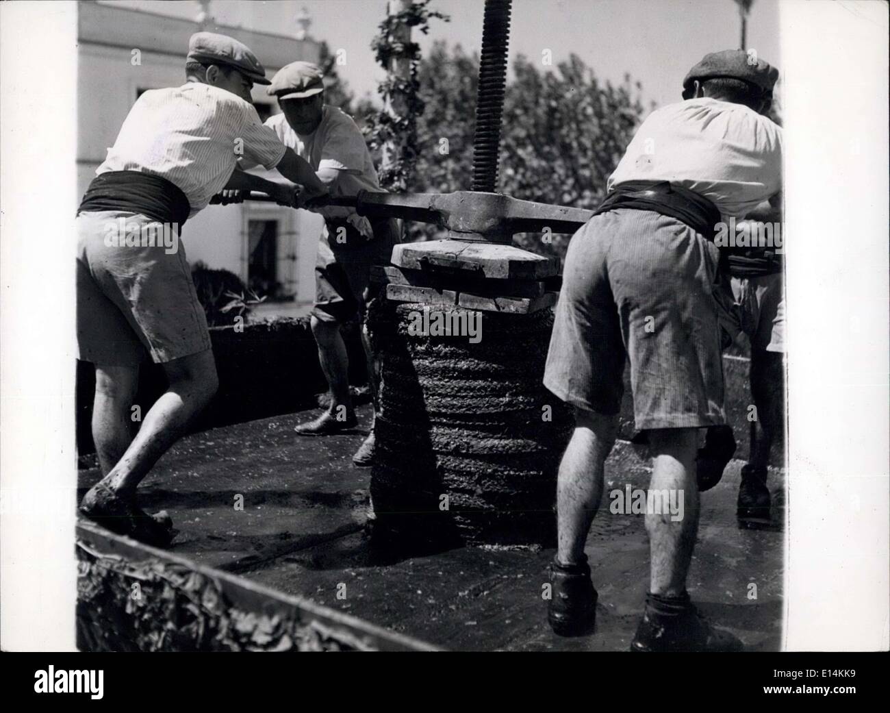 Avril 05, 2012 - La poignée est placée sur la presse et les hommes tourner est lentement pour éliminer l'autre jus du raisin était jointe dans le faisceau lié ce. Banque D'Images