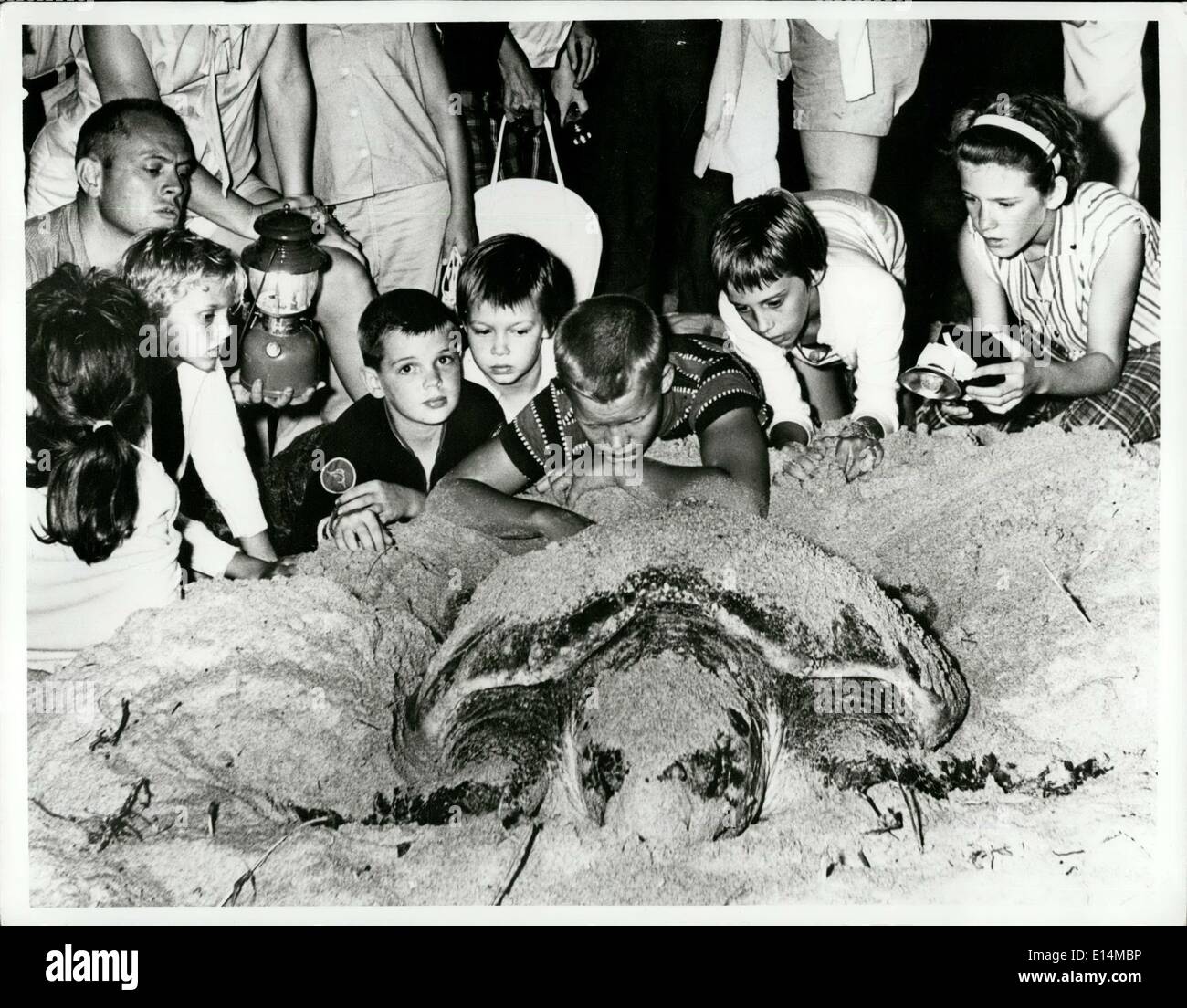 Avril 05, 2012 - Les spectateurs se rassembler autour d'une tortue de mer géante de ses œufs Jensen Beach comme le calendrier des événements de juin annonce Banque D'Images