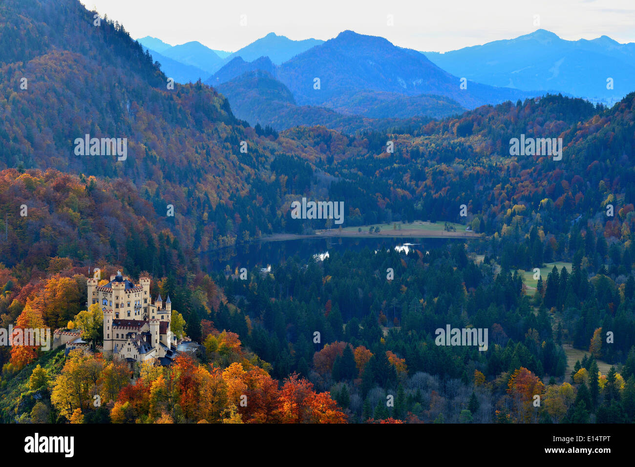 Schloss Hohenschwangau, lac Schwansee et la campagne environnante en automne, Schwangau, Bavière, Allemagne Banque D'Images