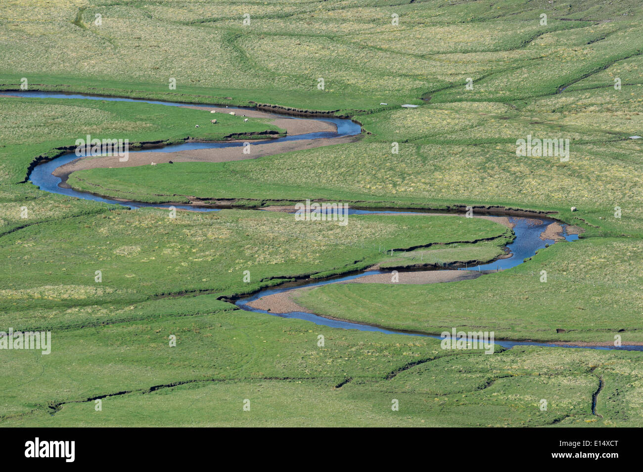 Ruisseau sinueux, pâturages, Suðuroy, îles Féroé, Danemark Banque D'Images