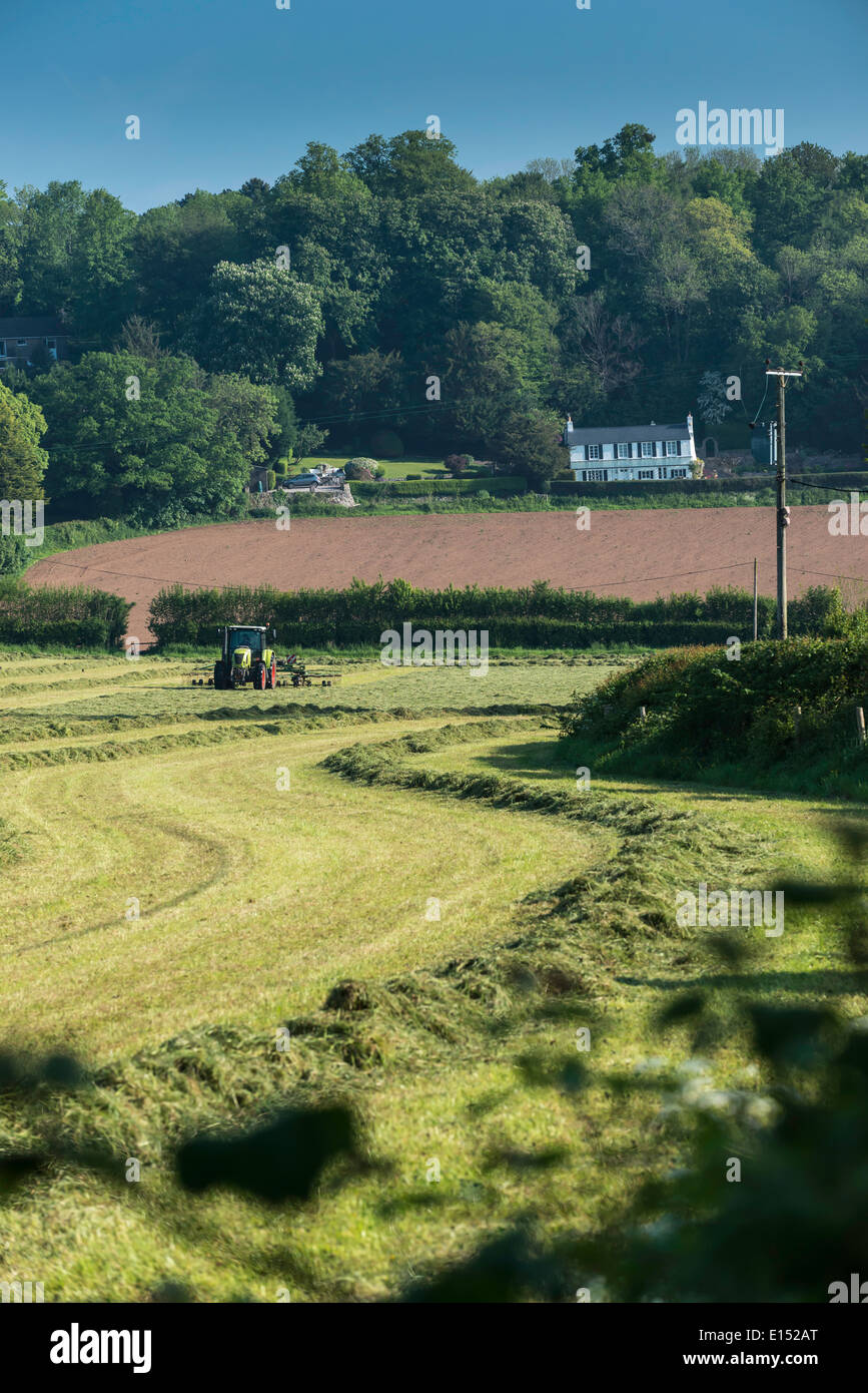 'Tracteur' aviron déjà l'herbe coupée pour le séchage de l'ensilage en champ dans la Loire à la fin du printemps. Banque D'Images