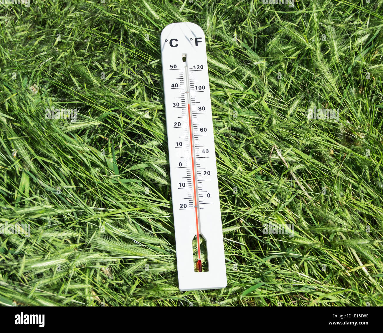 Thermomètre on Green grass Banque D'Images