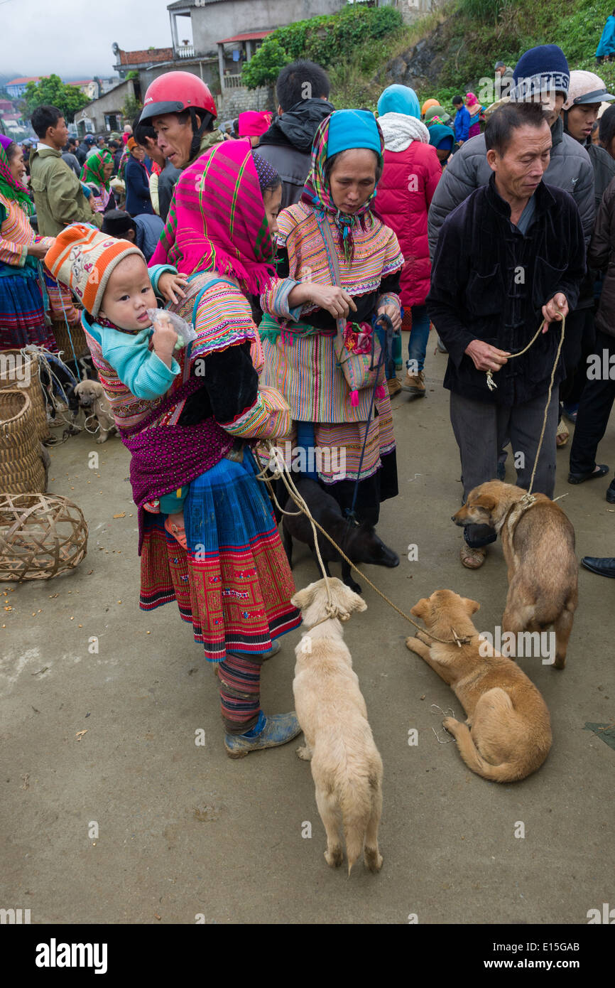 Les hommes et les femmes Hmong fleur vente de chiots et chiens à Bac Ha Bac Ha, Marché, Vietnam Banque D'Images