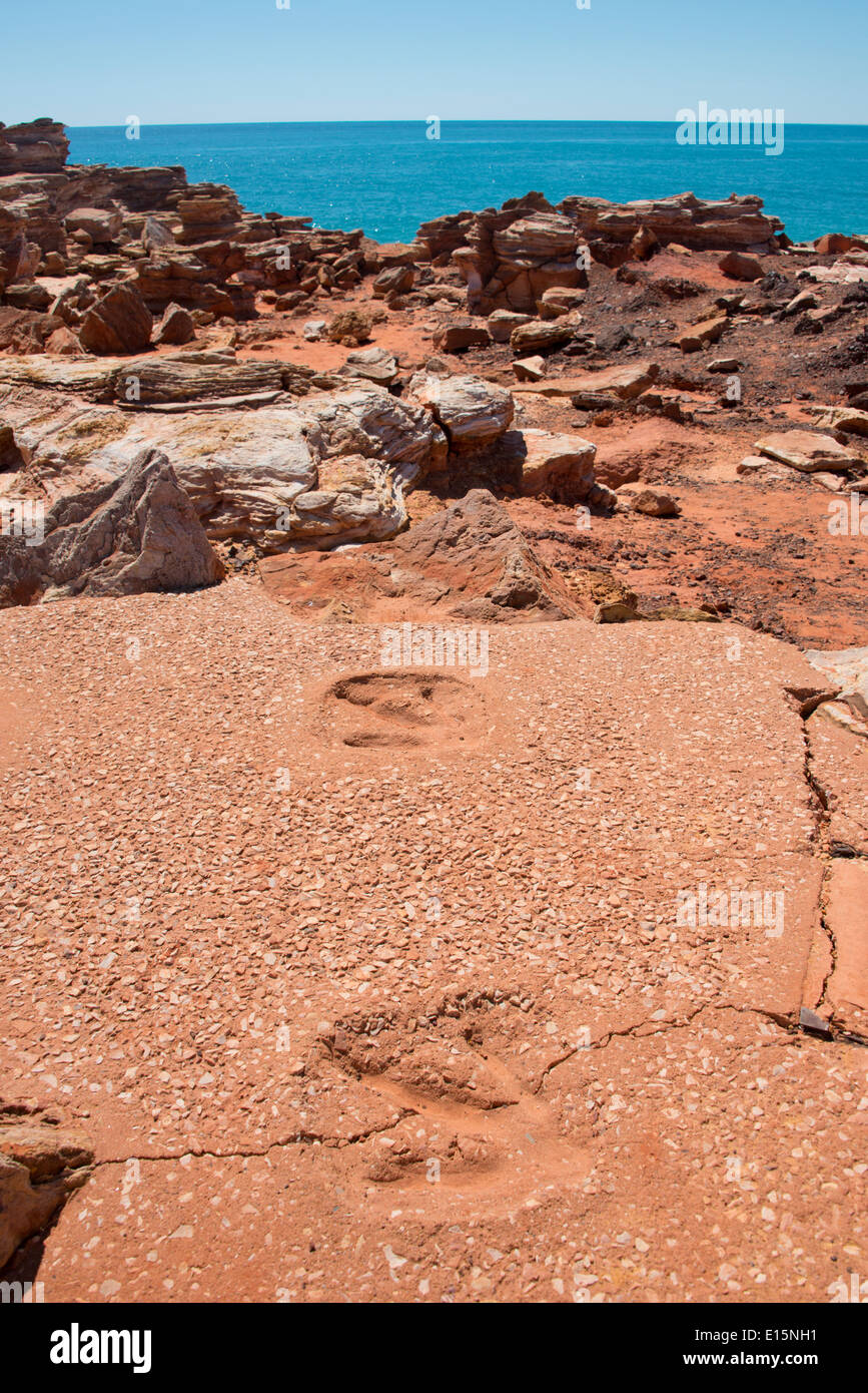 L'Australie, Australie occidentale, Broome, Gantheaume Point. Réplique de 130 millions d'années empreintes de dinosaures. Banque D'Images